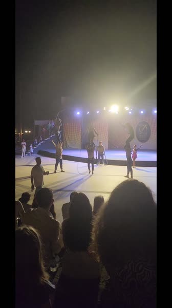 видео из отзыва ID 2700145