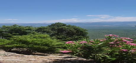 видео из отзыва ID 2700145