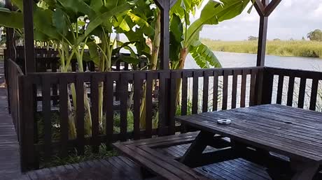 видео из отзыва ID 2639472