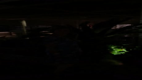 видео из отзыва ID 2701393