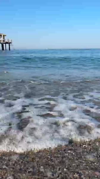 видео из отзыва ID 2701754