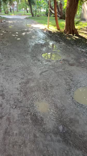 видео из отзыва ID 2701887