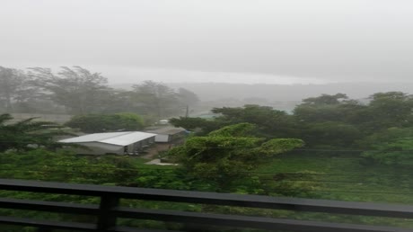 видео из отзыва ID 2702805