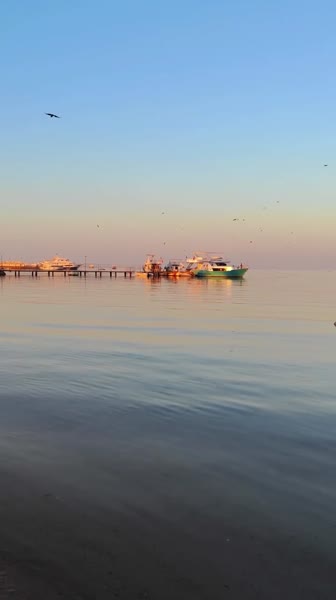 видео из отзыва ID 2701624