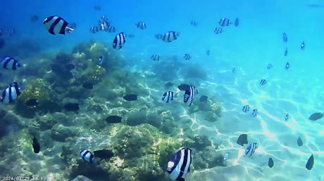 видео из отзыва ID 2701624