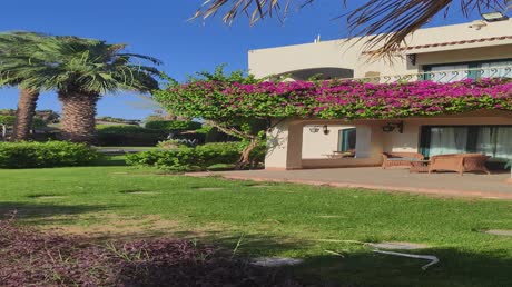 видео из отзыва ID 2701624