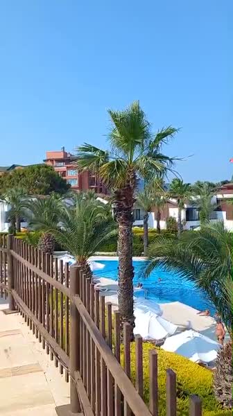 видео из отзыва ID 2704333