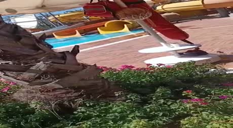 видео из отзыва ID 2704354