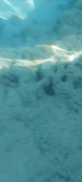 видео из отзыва ID 2705465