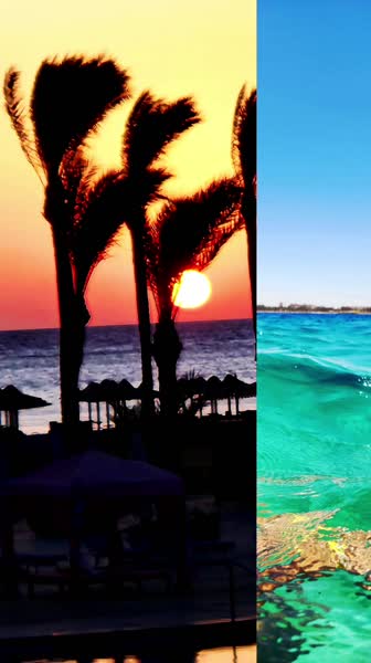 видео из отзыва ID 2705605