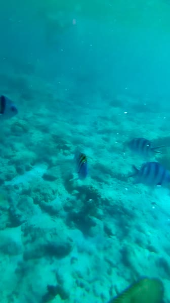видео из отзыва ID 2705710