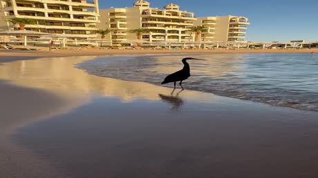 видео из отзыва ID 2705784