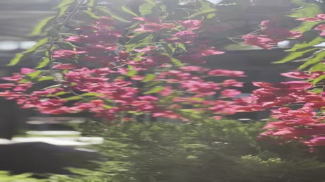 видео из отзыва ID 2706005