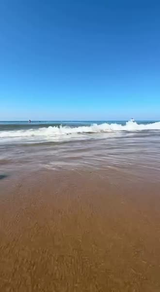 видео из отзыва ID 2706223