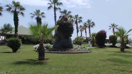 Hotel videos Timo Resort 5*