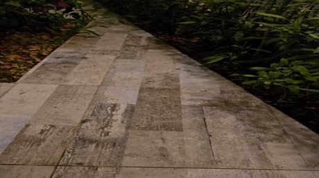 видео из отзыва ID 2706403