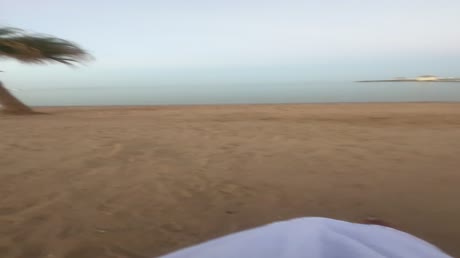 видео из отзыва ID 2706663