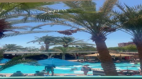 видео из отзыва ID 2706668