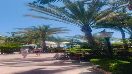 видео из отзыва ID 2706668