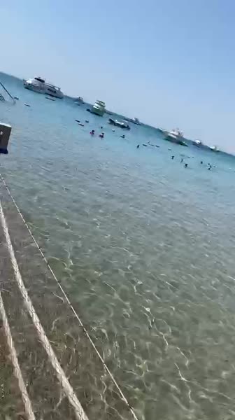 видео из отзыва ID 2706703