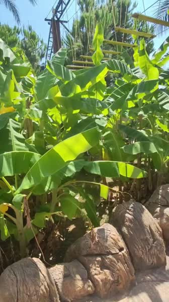 видео из отзыва ID 2706896