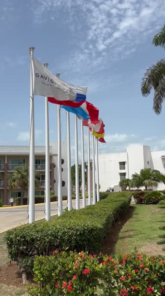 Hotel videos Playa Vista Azul 5*