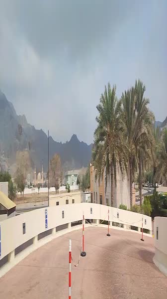 видео из отзыва ID 2707723