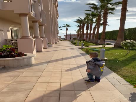 Hotel videos Pickalbatros Palace Resort - Hurghada 5*
