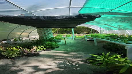 видео из отзыва ID 2708318