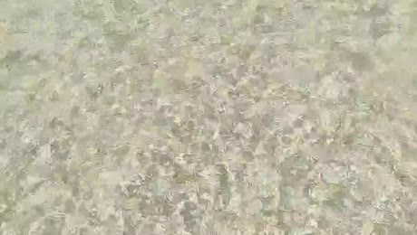 видео из отзыва ID 2709857
