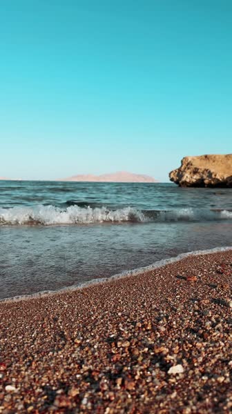 Атмосфера пляжа 🌴☀️🌊 - V Hotel Sharm El Shiekh 5*