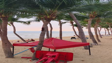 Hotel videos Welcome World Beach Resort & Spa 5*