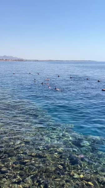 видео из отзыва ID 2710103