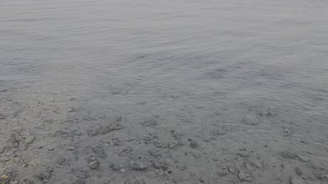 видео из отзыва ID 2710204
