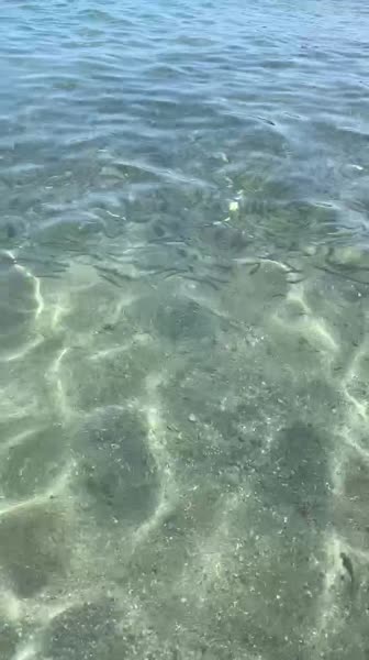 видео из отзыва ID 2710644