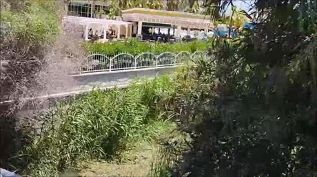 видео из отзыва ID 2710825