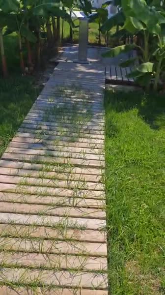 видео из отзыва ID 2710986