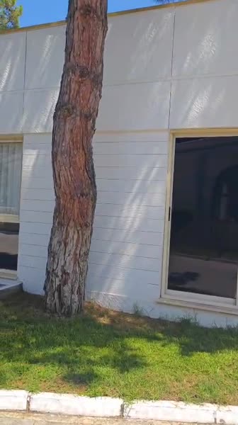 видео из отзыва ID 2710986
