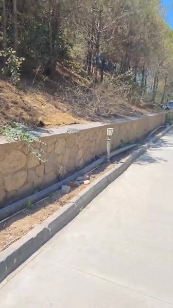 видео из отзыва ID 2710986