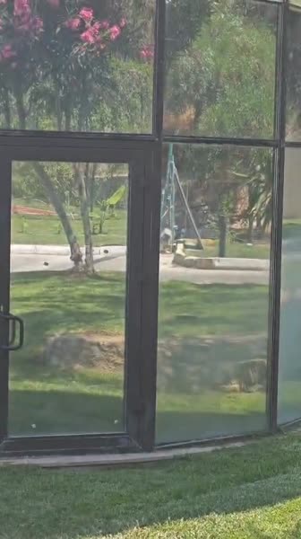 видео из отзыва ID 2710986