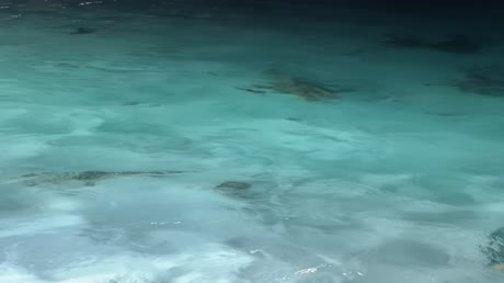 видео из отзыва ID 2711461