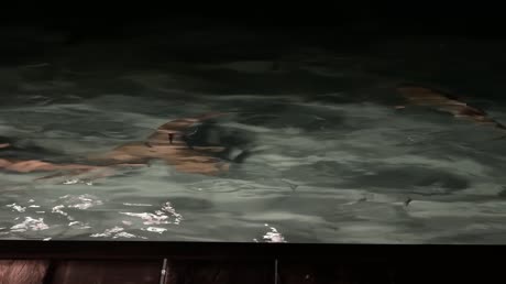 видео из отзыва ID 2711461