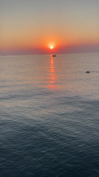 видео из отзыва ID 2711986