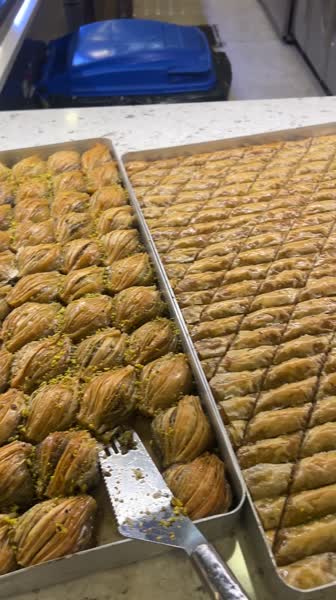 видео из отзыва ID 2711986