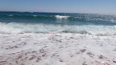 видео из отзыва ID 2709712
