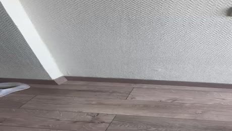 Hotel videos
