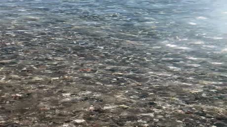 видео из отзыва ID 2713138