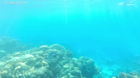 Hotel videos Park Regency Sharm El Sheikh Resort 5*