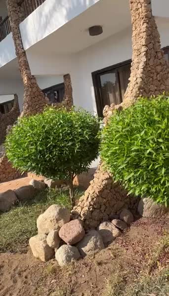 Hotel videos Turquoise Beach Hotel 3*