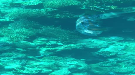 видео из отзыва ID 2715779